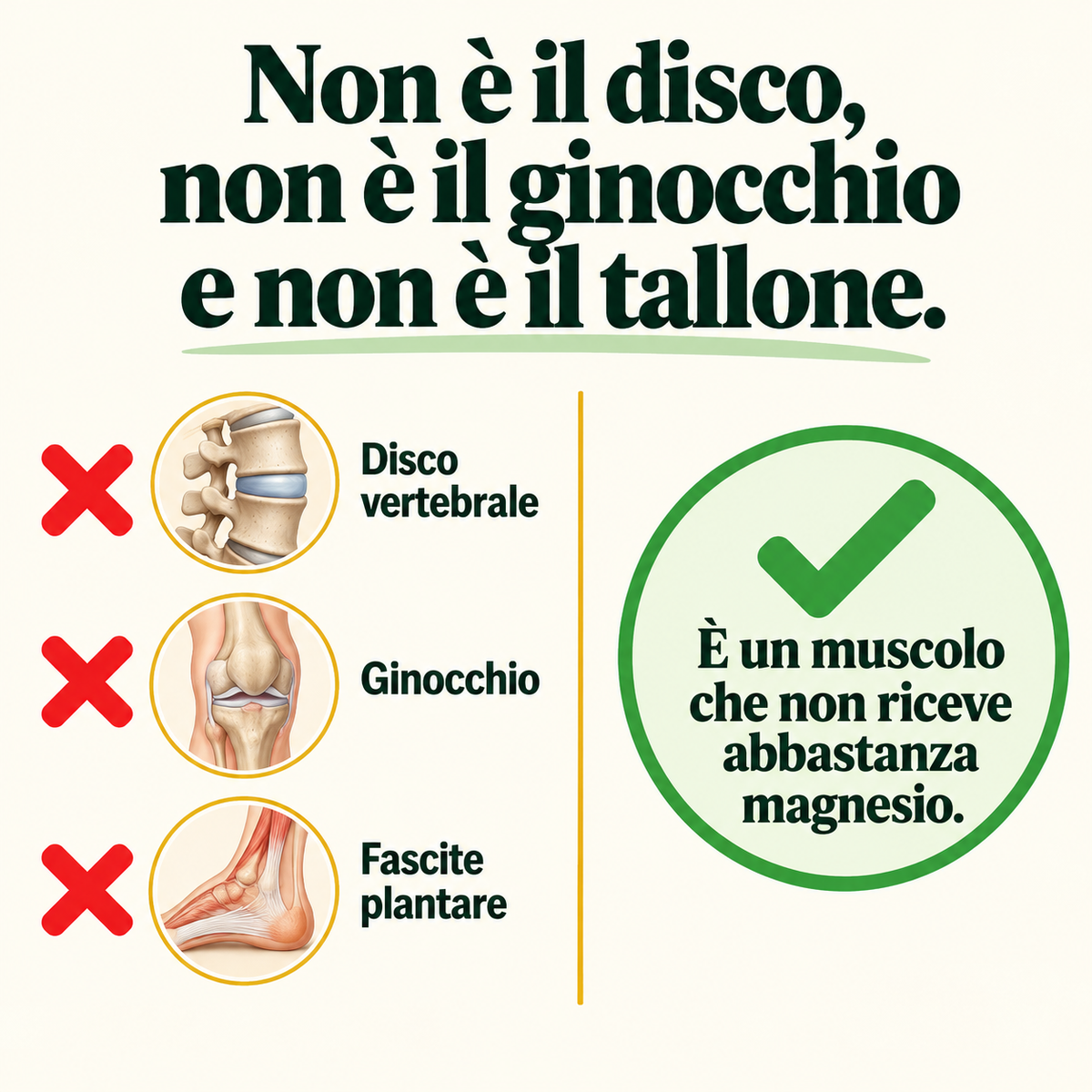 Nervicalm™ Sollievo Totale